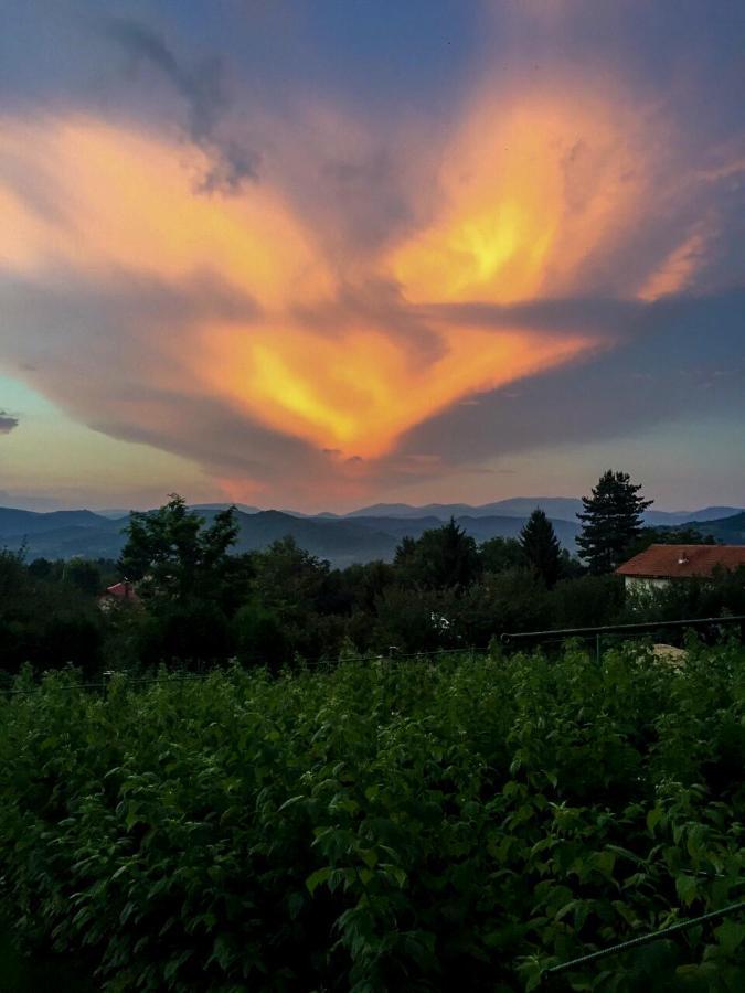 Merak Holiday Home Visoko Zewnętrze zdjęcie